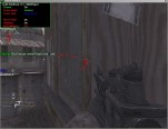 CoD4 Beta Chams