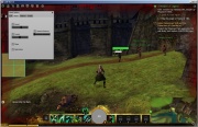 Guild Wars 2 Hack v2. Screenshot