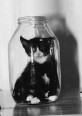 https://www.oldschoolhack.me/hackdata/screenshot/thumb/db0d2af47b4b6ed48daee81720b1fda3.jpg