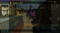 RaKS CSS Chams v2.0 Screenshot